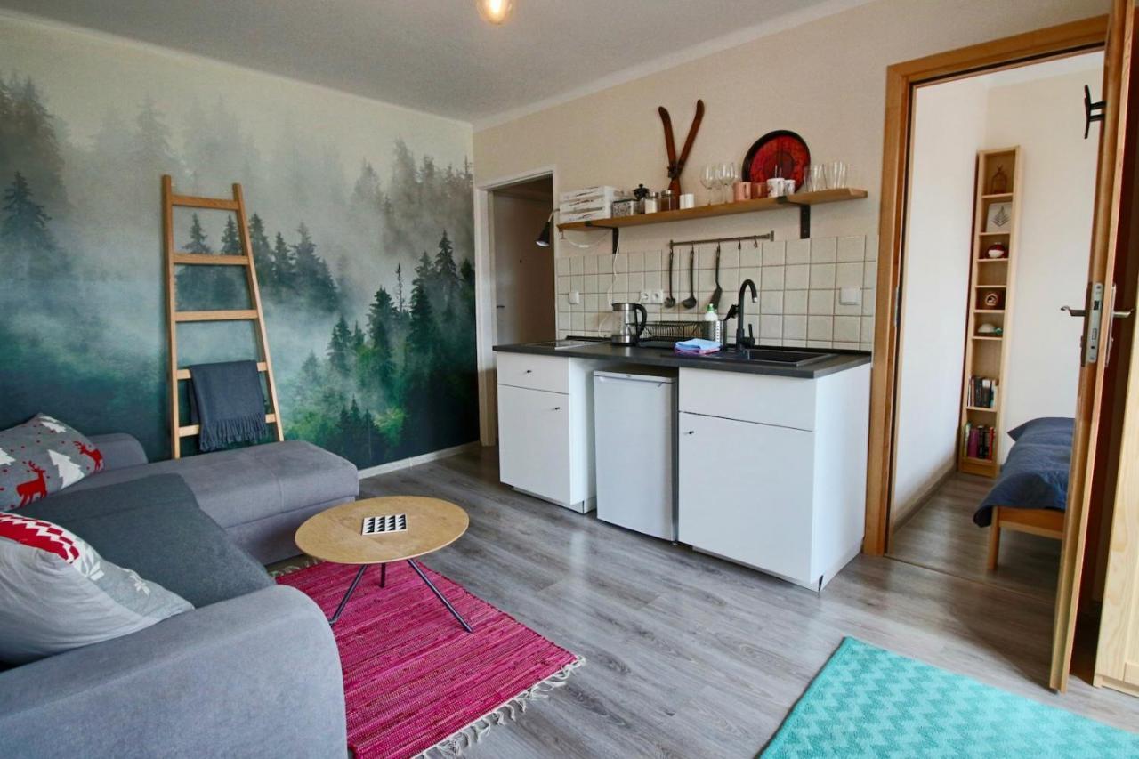 Апартаменти Apartament Bazatatry Sloneczny II Закопане Екстер'єр фото